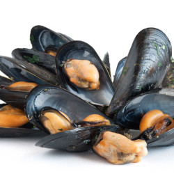 Black Mussels ½Shell 40/60 800g - FROZEN